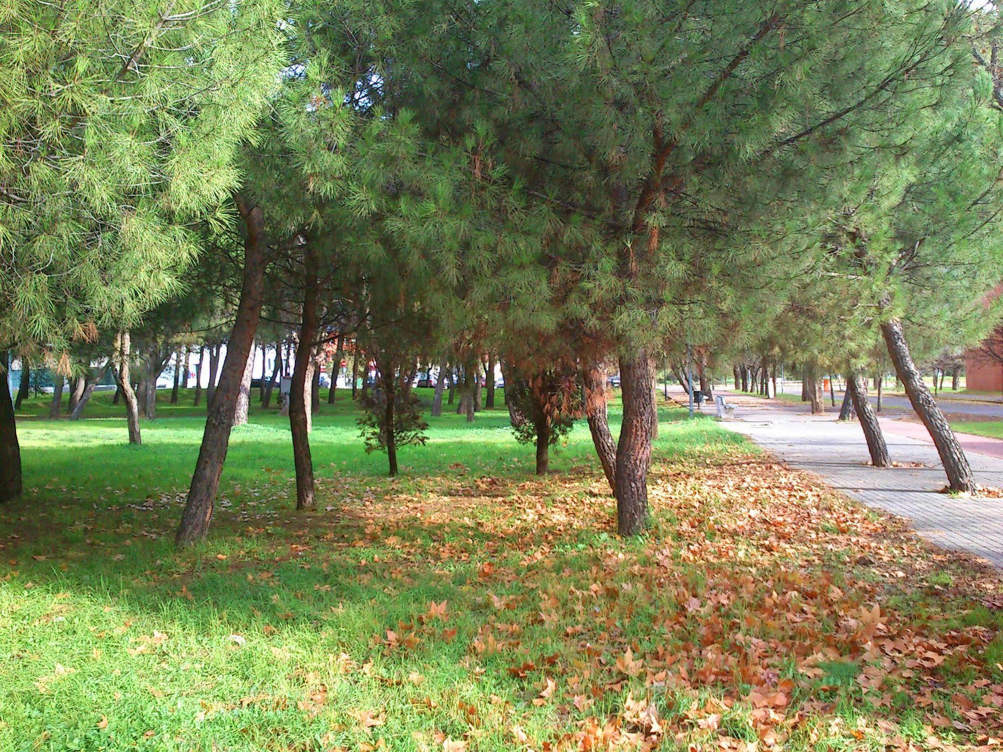 אלקאלה דה הנארס Residencia Universitaria Resa Giner De Los Rios מראה חיצוני תמונה